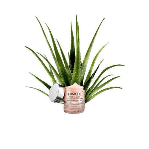 Clinique Moisture Surge 72 Hour Auto Replenishing Hydrator 50Ml