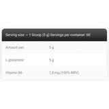 Kevin Levrone - Anabolic Glutamine 60 Servings