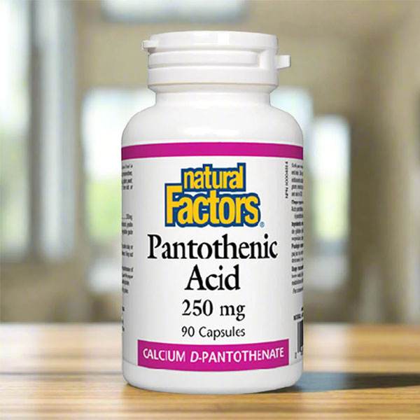 Natural Factors Pantothenic Acid (Vitamin B5), 90 Ct