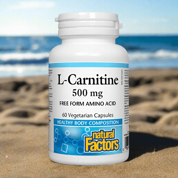 Natural Factors L-Carnitine 500mg, 60 Ct