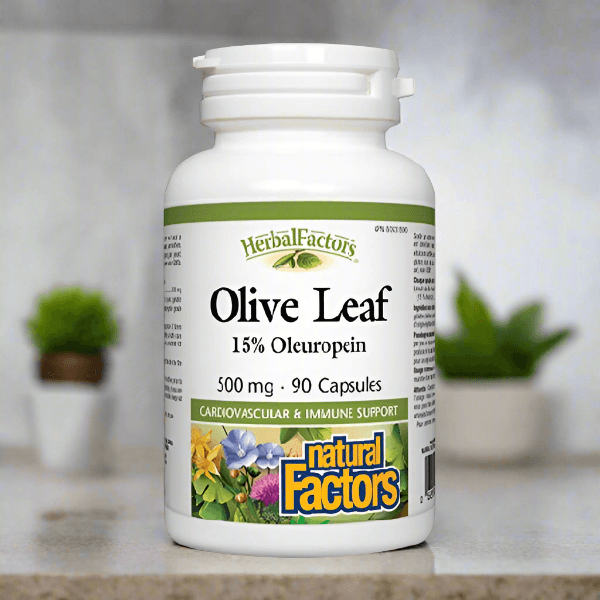 Natural Factors Olive Leaf Extract 500mg 90ct